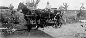 119- El alia-Bizerte- 1905- Taillemite